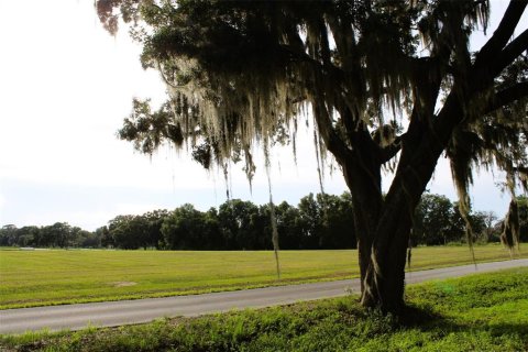 Land in Altoona, Florida № 1792828 - photo 1