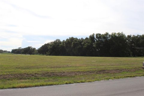 Land in Altoona, Florida № 1792828 - photo 6