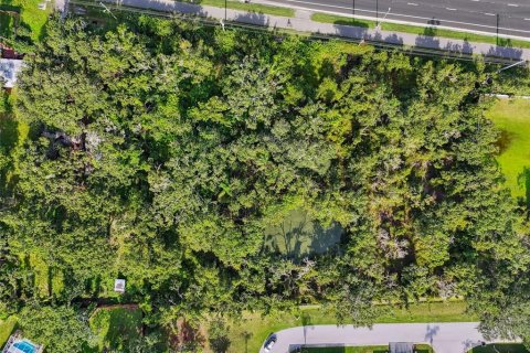 Land in Riverview, Florida № 1883406 - photo 3