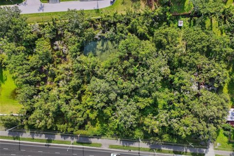 Land in Riverview, Florida № 1883406 - photo 4