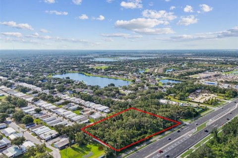 Land in Riverview, Florida № 1883406 - photo 13
