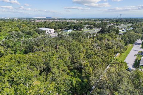 Land in Riverview, Florida № 1883406 - photo 12