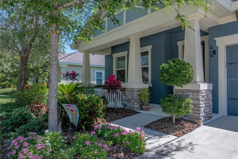 House in Apollo Beach, Florida 4 bedrooms, 236.25 sq.m. № 2095082 - photo 3