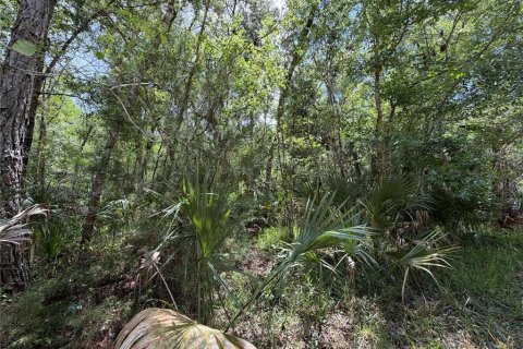 Terreno en venta en Chiefland, Florida № 2108172 - foto 18