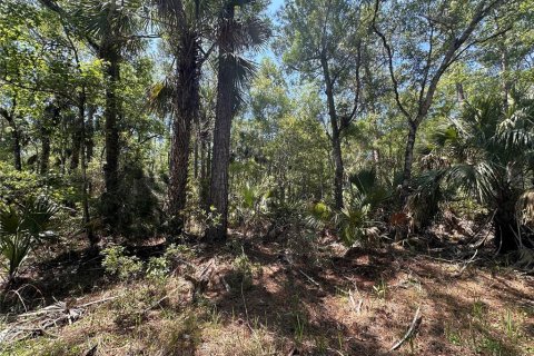 Terreno en venta en Chiefland, Florida № 2108172 - foto 21