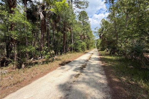 Terreno en venta en Chiefland, Florida № 2108172 - foto 9