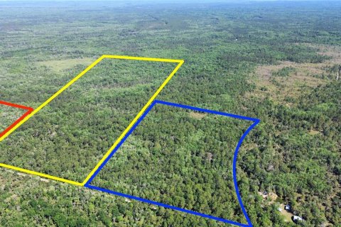Terreno en venta en Chiefland, Florida № 2108172 - foto 6