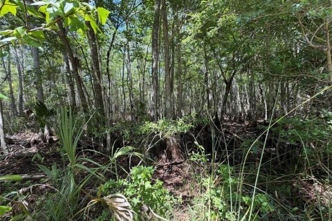Terreno en venta en Chiefland, Florida № 2108172 - foto 16
