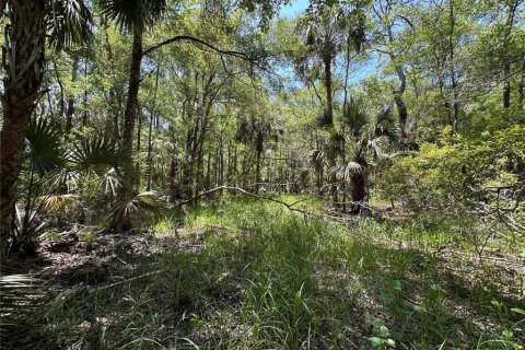 Terreno en venta en Chiefland, Florida № 2108172 - foto 11