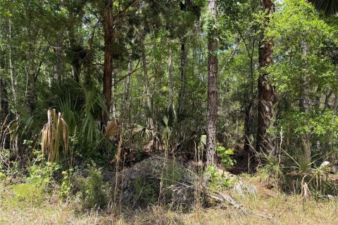 Terreno en venta en Chiefland, Florida № 2108172 - foto 17