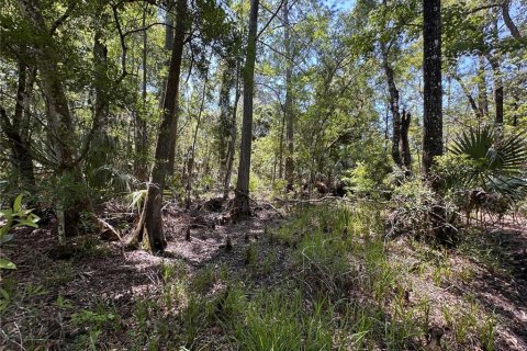 Terreno en venta en Chiefland, Florida № 2108172 - foto 23