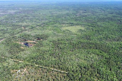 Terreno en venta en Chiefland, Florida № 2108172 - foto 12
