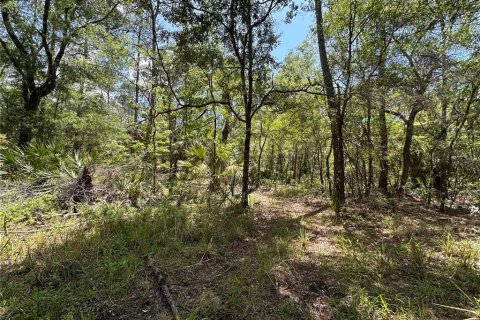 Terreno en venta en Chiefland, Florida № 2108172 - foto 27