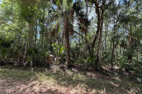 Terreno en venta en Chiefland, Florida № 2108172 - foto 20