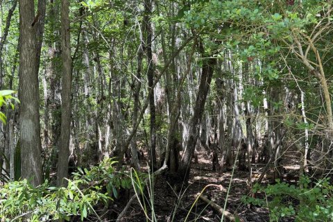 Terreno en venta en Chiefland, Florida № 2108172 - foto 15