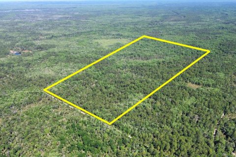Terreno en venta en Chiefland, Florida № 2108172 - foto 4