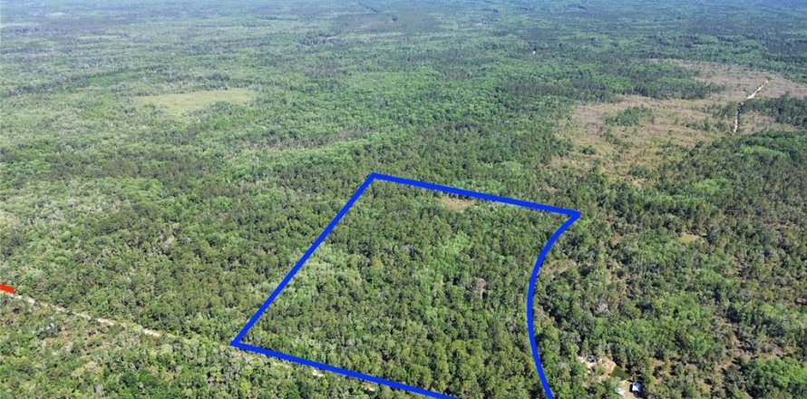 Terreno en Chiefland, Florida № 2108172