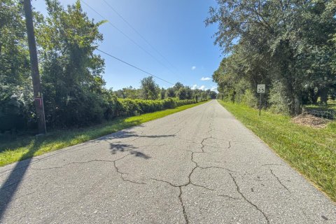 Land in Bushnell, Florida № 2379183 - photo 12