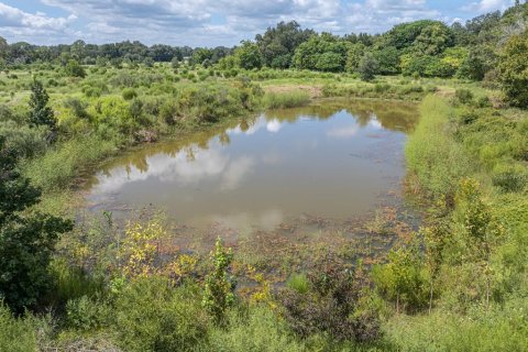 Land in Bushnell, Florida № 2379183 - photo 2