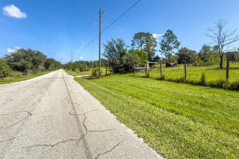 Land in Bushnell, Florida № 2379183 - photo 13