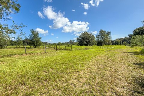 Land in Bushnell, Florida № 2379183 - photo 29