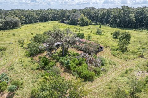 Land in Bushnell, Florida № 2379183 - photo 8