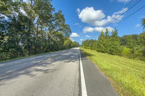 Land in Bushnell, Florida № 2379183 - photo 10