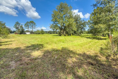Land in Bushnell, Florida № 2379183 - photo 30