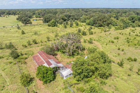 Land in Bushnell, Florida № 2379183 - photo 9