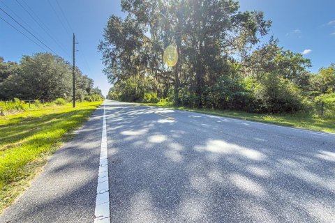 Land in Bushnell, Florida № 2379183 - photo 11