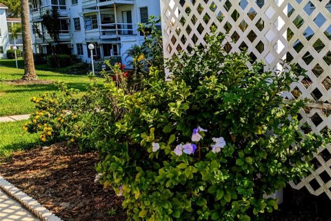 Condominio en alquiler en Bradenton, Florida, 1 dormitorio, 53.51 m2 № 1837965 - foto 24