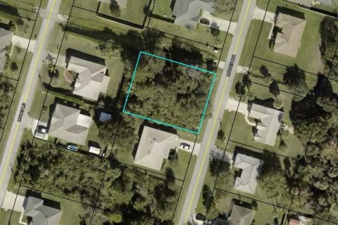 Land in Palm Coast, Florida № 1833645 - photo 1