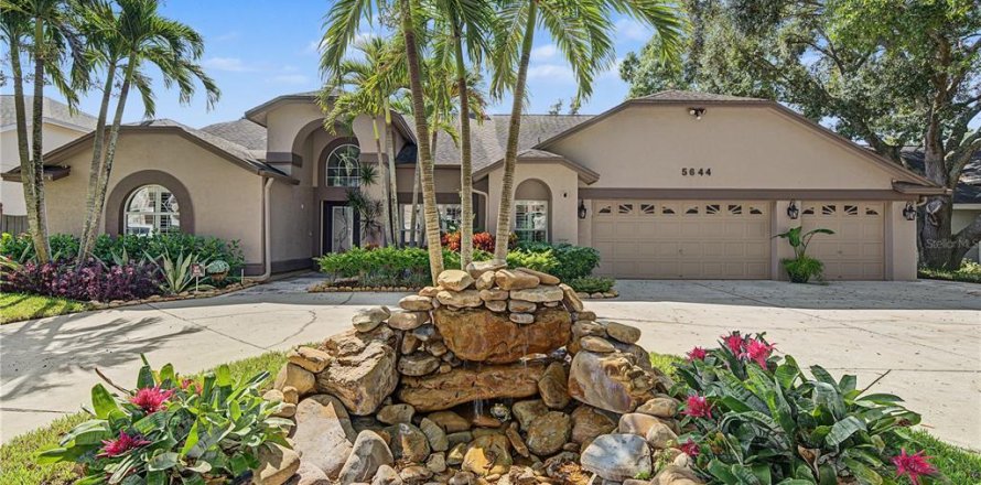 House in Tampa, Florida 4 bedrooms, 270.9 sq.m. № 2428861
