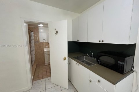 Immobilier commercial à louer à Miami, Floride: 1 chambre, 28.8 m2 № 2316060 - photo 5