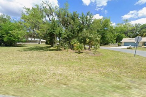 Land in Homosassa, Florida № 2361344