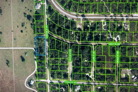 Land in Lake Placid, Florida № 295510 - photo 1