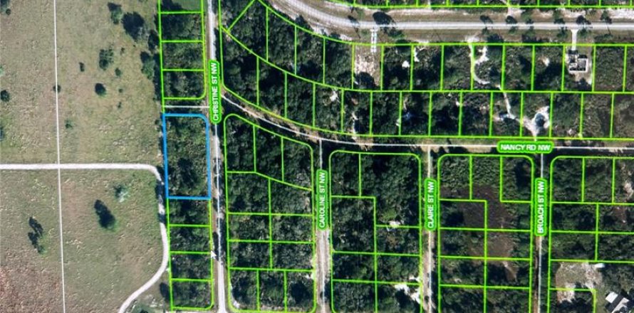 Land in Lake Placid, Florida № 295510