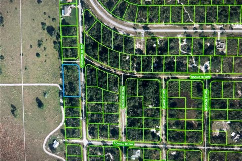Land in Lake Placid, Florida № 295510 - photo 2