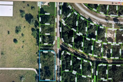 Land in Lake Placid, Florida № 295510 - photo 3