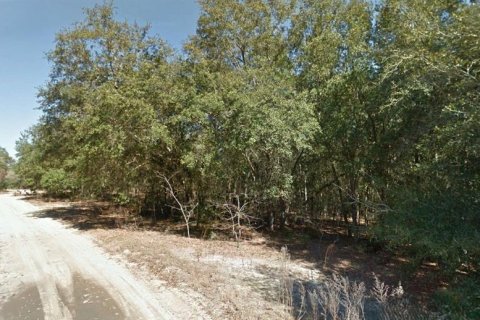 Land in Interlachen, Florida № 2164267 - photo 3