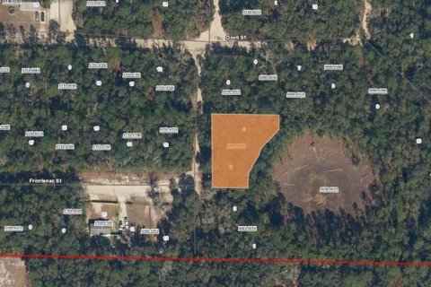 Land in Interlachen, Florida № 2164267 - photo 4