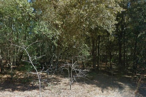 Land in Interlachen, Florida № 2164267