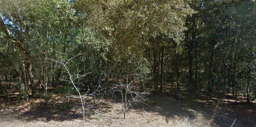 Land in Interlachen, Florida № 2164267