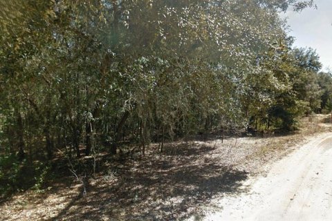 Land in Interlachen, Florida № 2164267 - photo 2