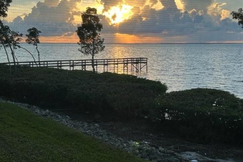 Condo in Punta Gorda, Florida, 3 bedrooms  № 2395787 - photo 15