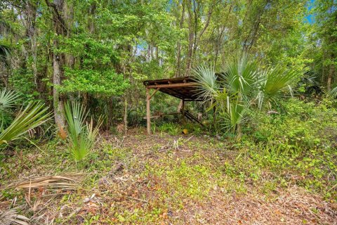 Land in Sanford, Florida № 1681081 - photo 5