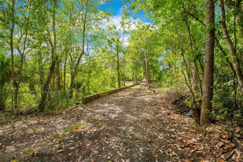 Land in Sanford, Florida № 1681081 - photo 1