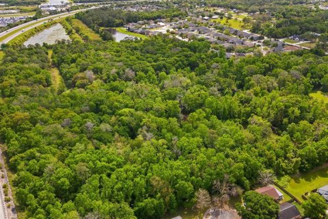 Land in Sanford, Florida № 1681081 - photo 24