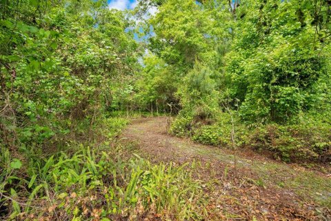Land in Sanford, Florida № 1681081 - photo 16