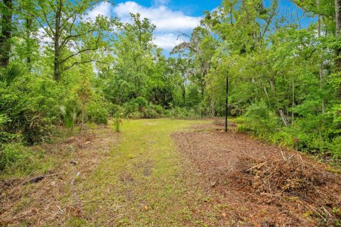 Land in Sanford, Florida № 1681081 - photo 7